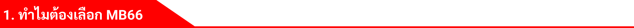 1. ทำไมต้องเลือก MB66